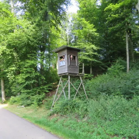 Tent On The Edge Of A Forest, 30 Km From Luxembourg Lüks kamp alanı