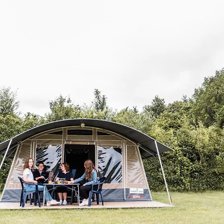 Tent In Near Forest