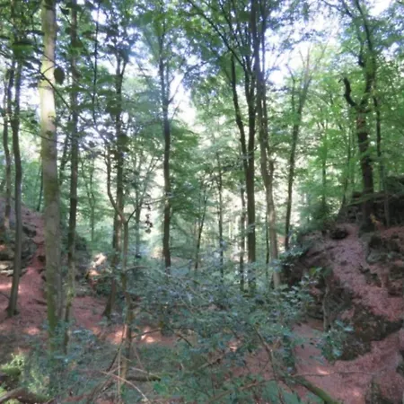 Tent On The Edge Of A Forest, 30 Km From Luxembourg Luksusowy namiot